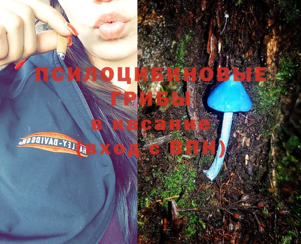 альфа пвп Новодвинск