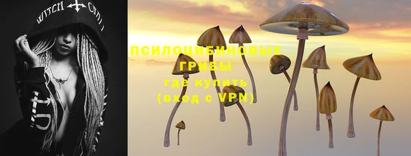 альфа пвп Новодвинск