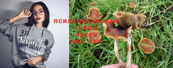 соль ск Новокубанск