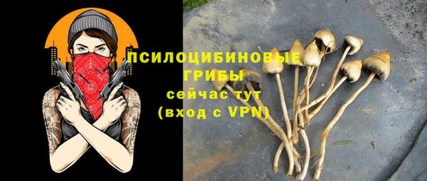 соль ск Новокубанск