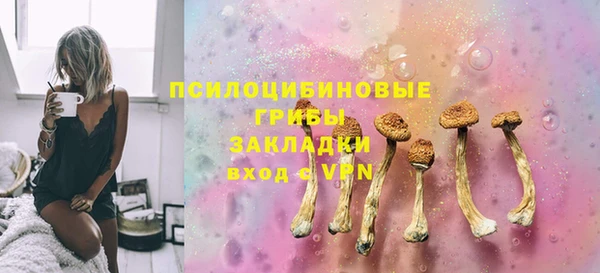 альфа пвп Новодвинск