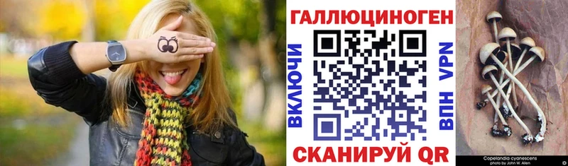 Галлюциногенные грибы мухоморы  где можно купить наркотик  Камбарка 